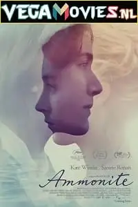 18 ammonite 2020