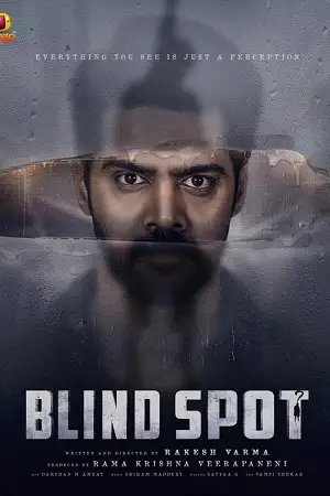 blind spot 2025