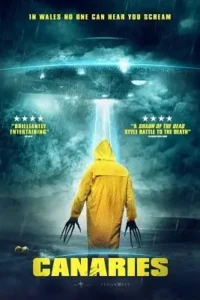 canaries 2017