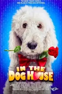 in the dog house 2014