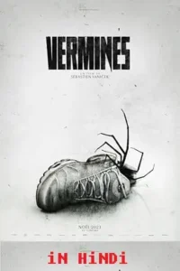 infested spiders vermines 2023