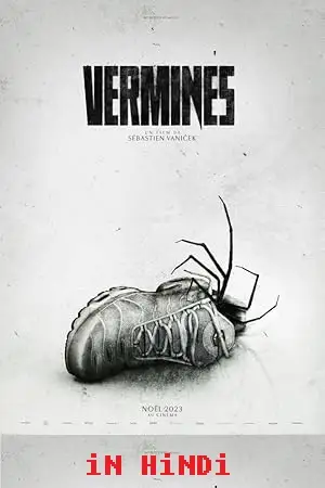 infested spiders vermines 2023