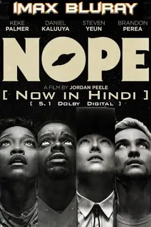 nope 2022