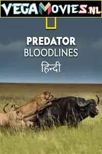 predator bloodlines 2021