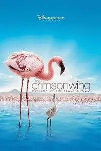 the crimson wing 2008