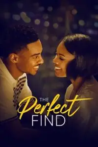 the perfect find 2023