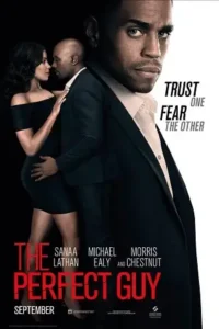 the perfect guy 2015