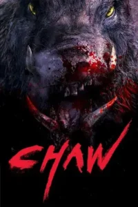 chawz 2009